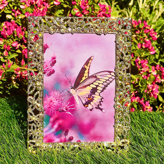 Papillon with Crystals 4" x 6" Frame